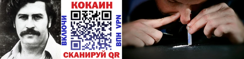 Купить закладки Гай Cocaine FishScale