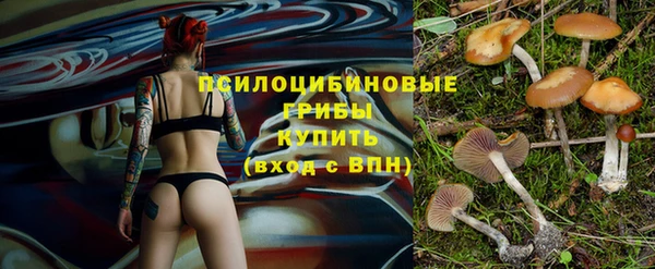 MDMA Верхний Тагил