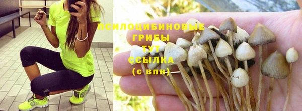 MDMA Верхний Тагил