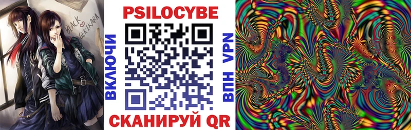 Купить  Гай  Псилоцибиновые грибы мицелий 